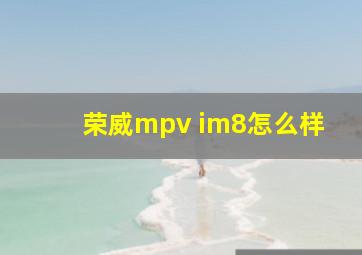 荣威mpv im8怎么样